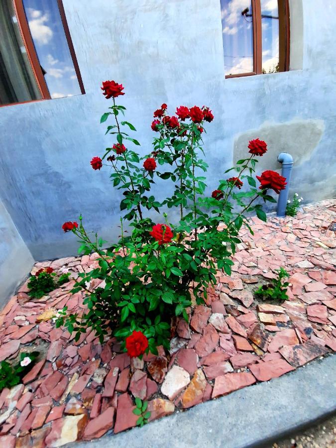 Ararat B&B Chʼiva Exterior foto